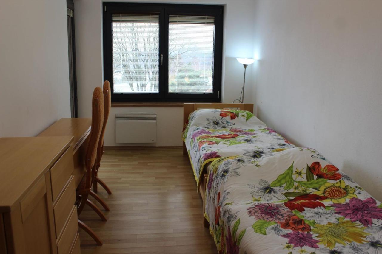 Apartman Lipanek 伏尔塔瓦河畔利普诺 外观 照片